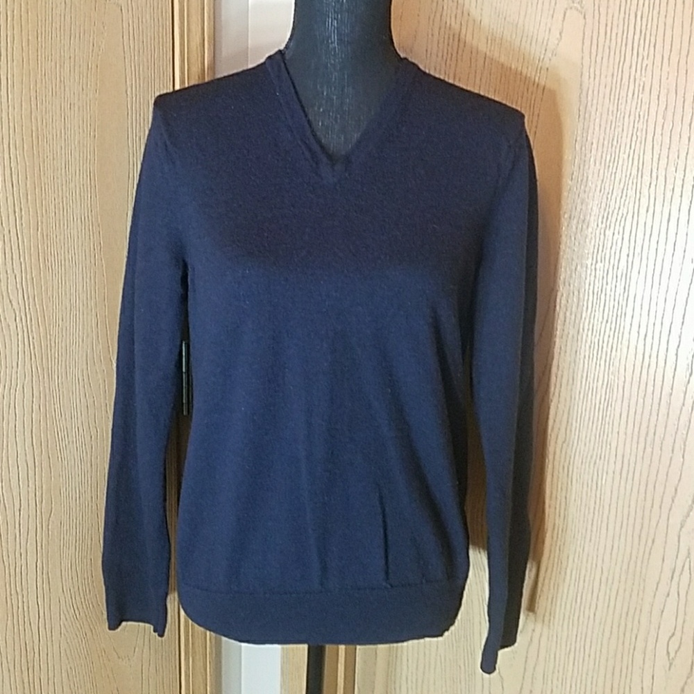 Express 100% Extra Fine Merino Wool Sweater